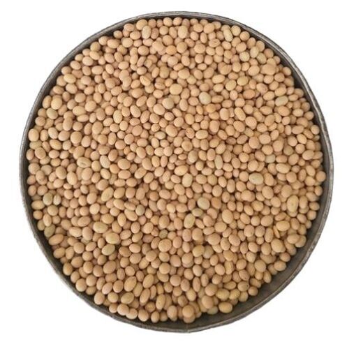 Soy Beans
