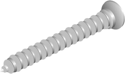 Silver Screw
