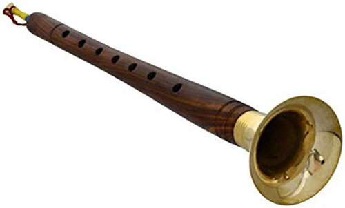 Musical Instrument Shehanai