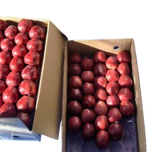 Fresh Apple By Kvs Appel Enterprises