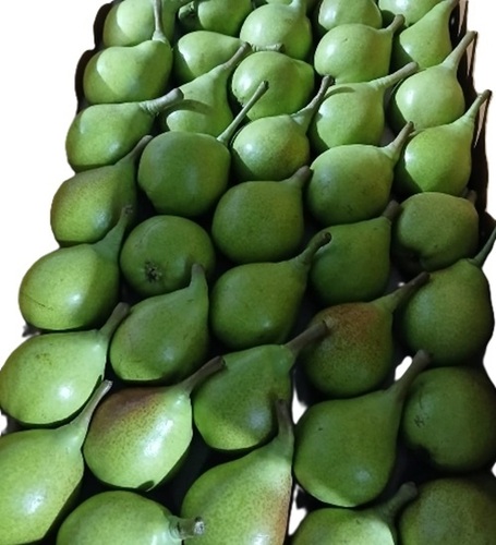 Fresh Pears