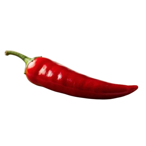 Red Chili