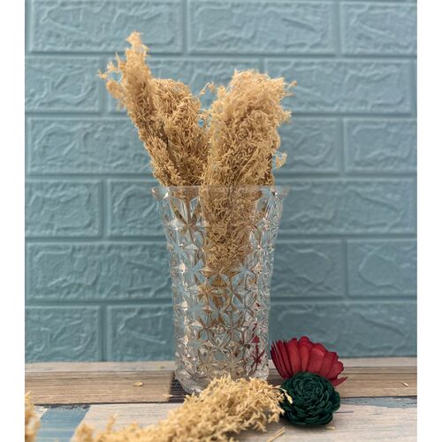 Dry Corn Grass