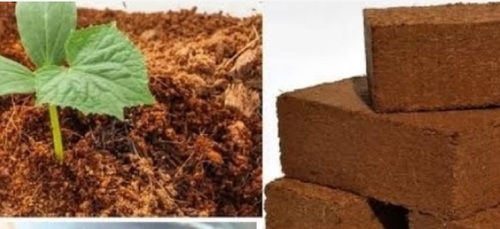 Brown Coir Blocks For Agriculture - Feature: Dust Free