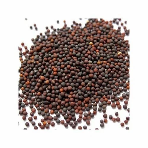 Organic Mustard Seed