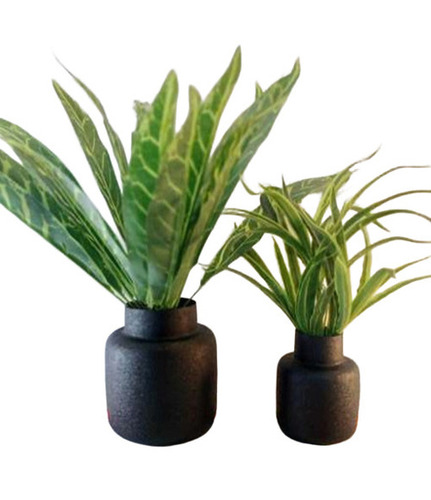 Flower Pots
