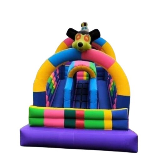 Inflatable Bounce Slide - Style: Outdoor