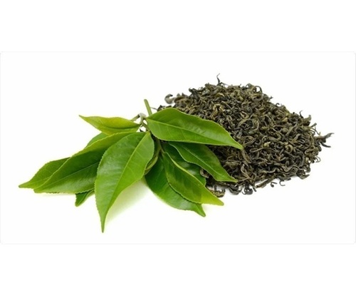 Green Tea Leaves