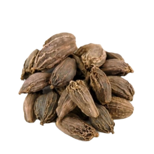 Big Cardamom