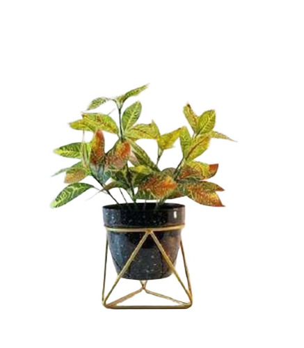 Small Pot With Stand
