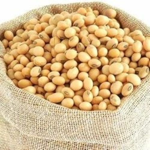 Soya Nuts - Color: White