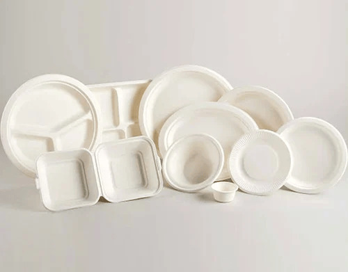bagasse product
