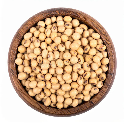 Soybean Seeds