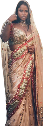 Ladies Saree