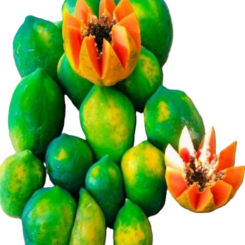 Fresh Papaya