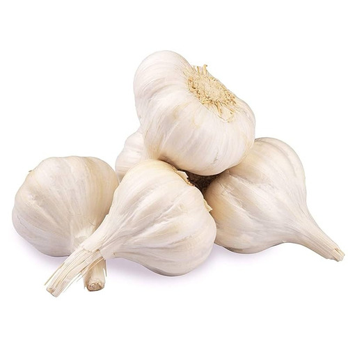 Fresh White Garlic