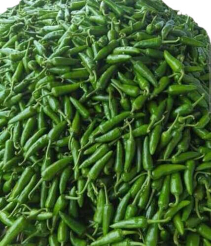 Green Chilli