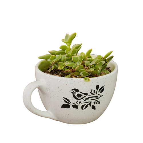 Wonderland Ceramic Small Cup Shape Pot