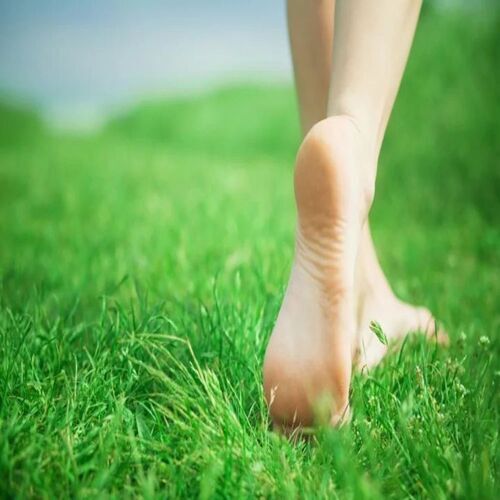 Artificial Grass Carpet