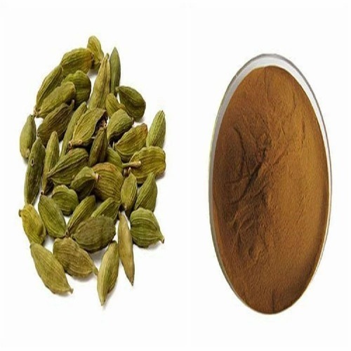 Cardamom Extract Powder - Color: Green