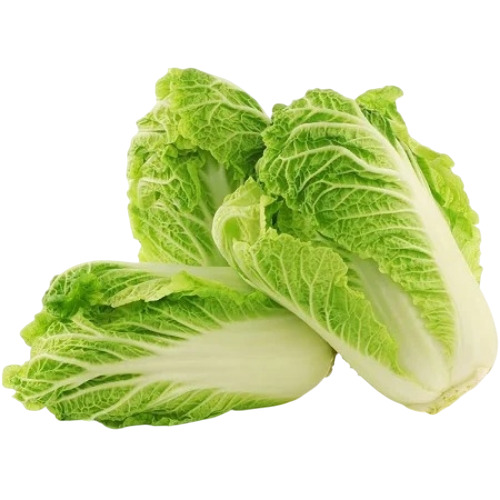 Chinese Cabbage
