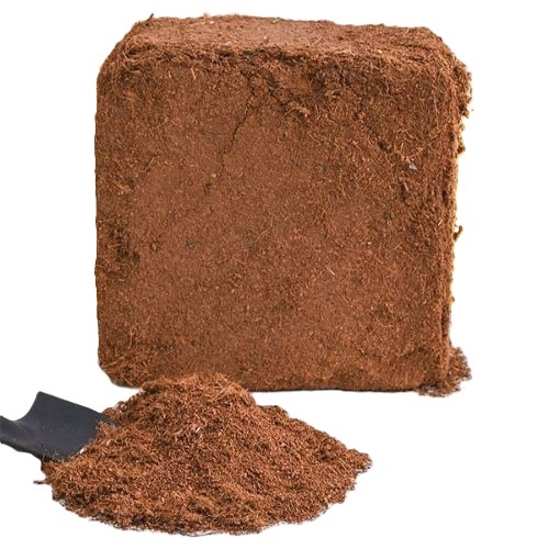 Coco Peat