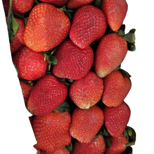 Fresh Strawberry - Color: Red