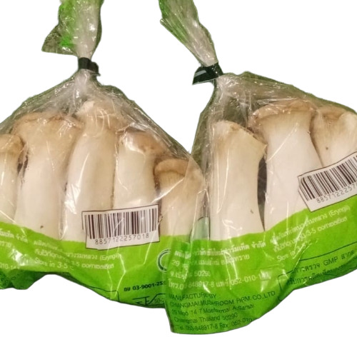 Oyester Mushroom - Color: White