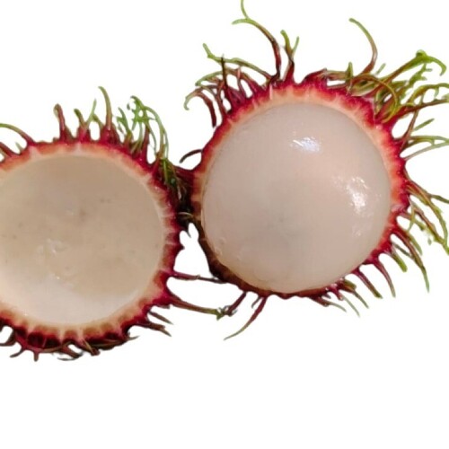 Rambutan Fruit