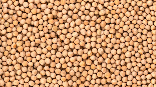 Whole Yellow Peas