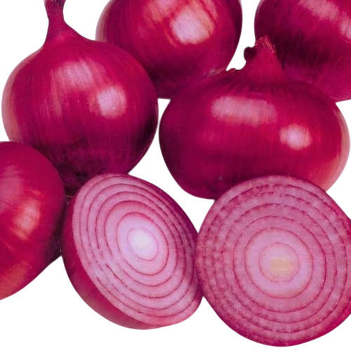 Fresh Onion