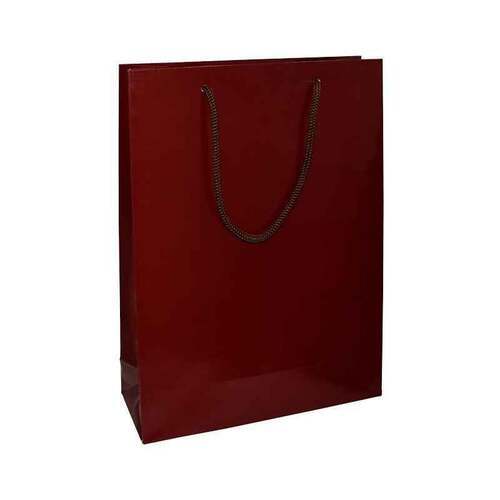 Plain Paper Bag