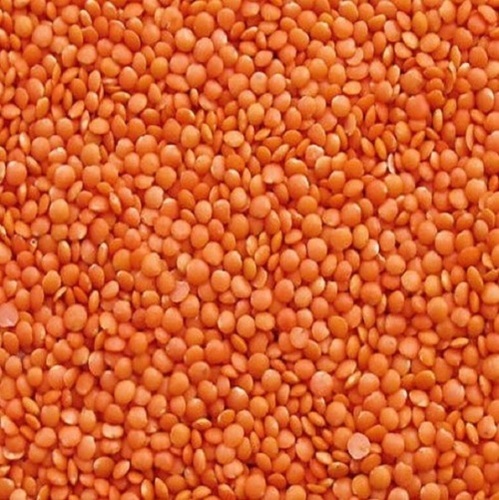 Red Lentil