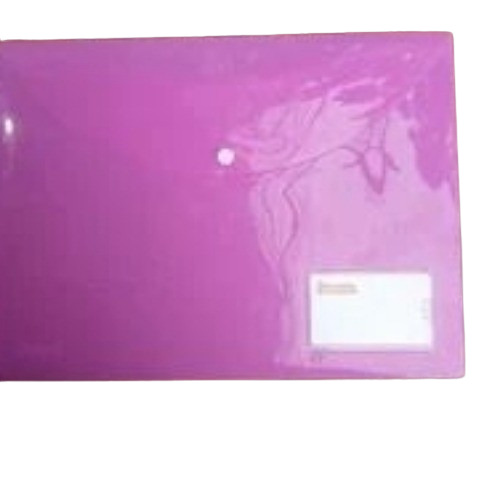 Plastic File Folder - Size: Standard