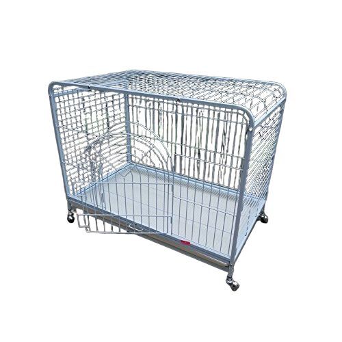 Steel Bird Cage - Color: Silver