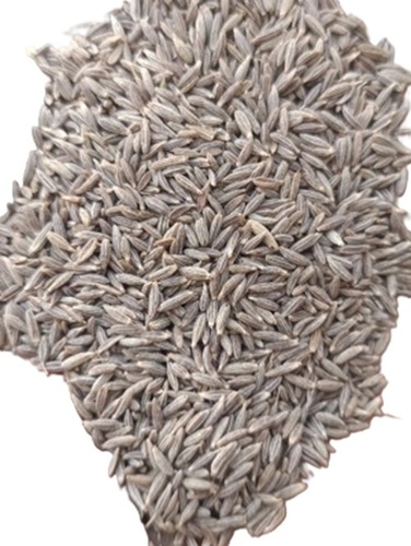 Cumin Seed