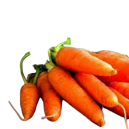 Fresh Carrot - Packaging Size: 50 Kg