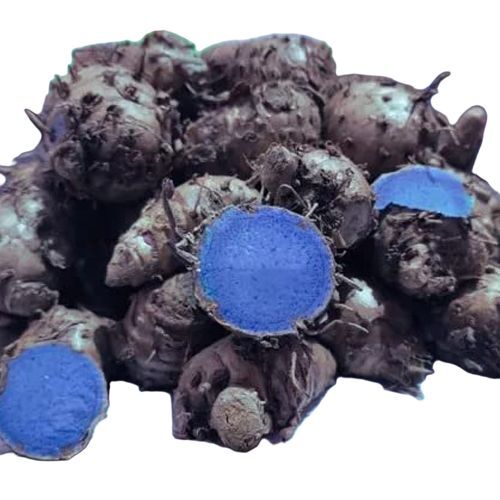 Rough Skin Black Turmeric - Grade: Food Grade