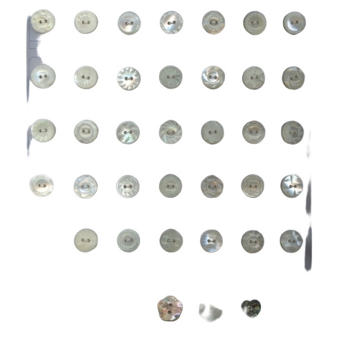 Natural Shell Button
