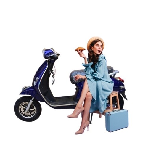 Electric Scooter - Features: Least Maintenance Needed
