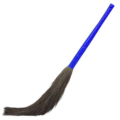 Gold Flower Blue Grass Broom