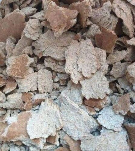 Cattle Feed