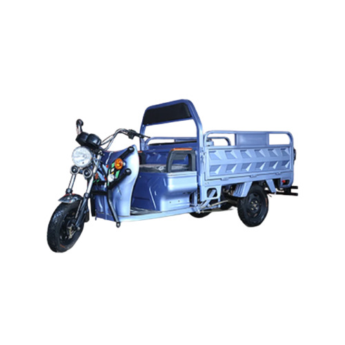 E - Rickshaw Loader