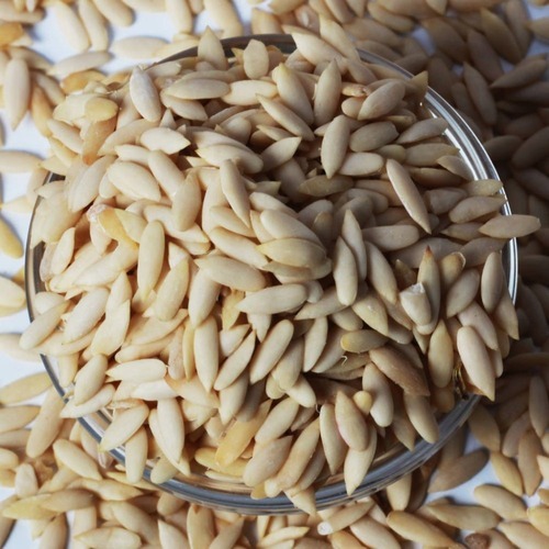 Fruit Seeds - Color: Multicolor