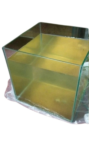 Glass Fish Aquarium