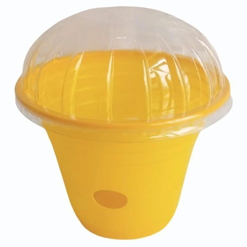 fruit fly trap
