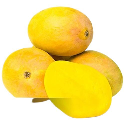 Alphonso Mango