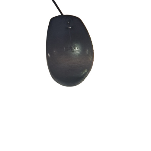 Computer Mouse