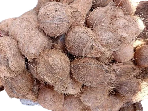 Brown Fresh Coconut
