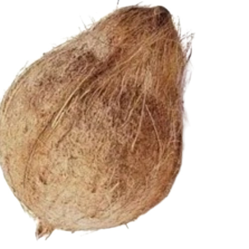 Brown Husked Coconut